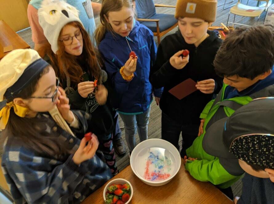 group of children, around 11 years old, taste strawberries while standing around a bowl of colourful, dissolving paper.