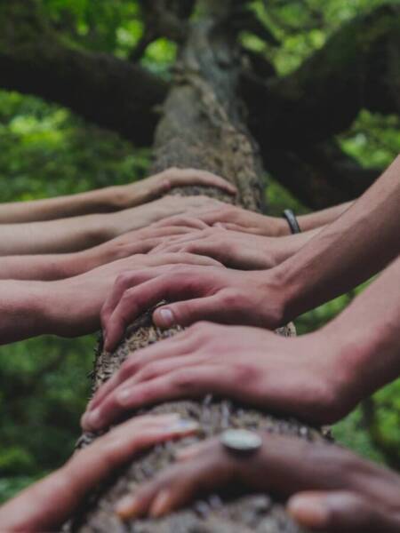 900 tree hands